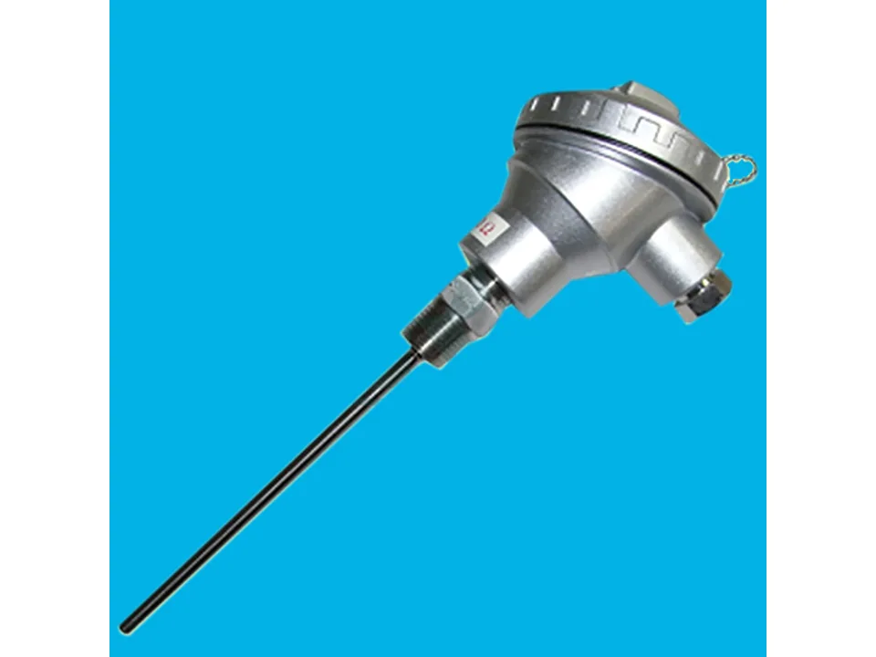 Cảm biến nhiệt độ Pt100 CBN1.2