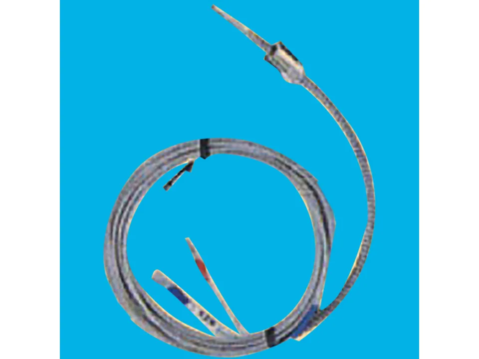 Dây Dò Nhiệt DDN1.1 - CA(K)